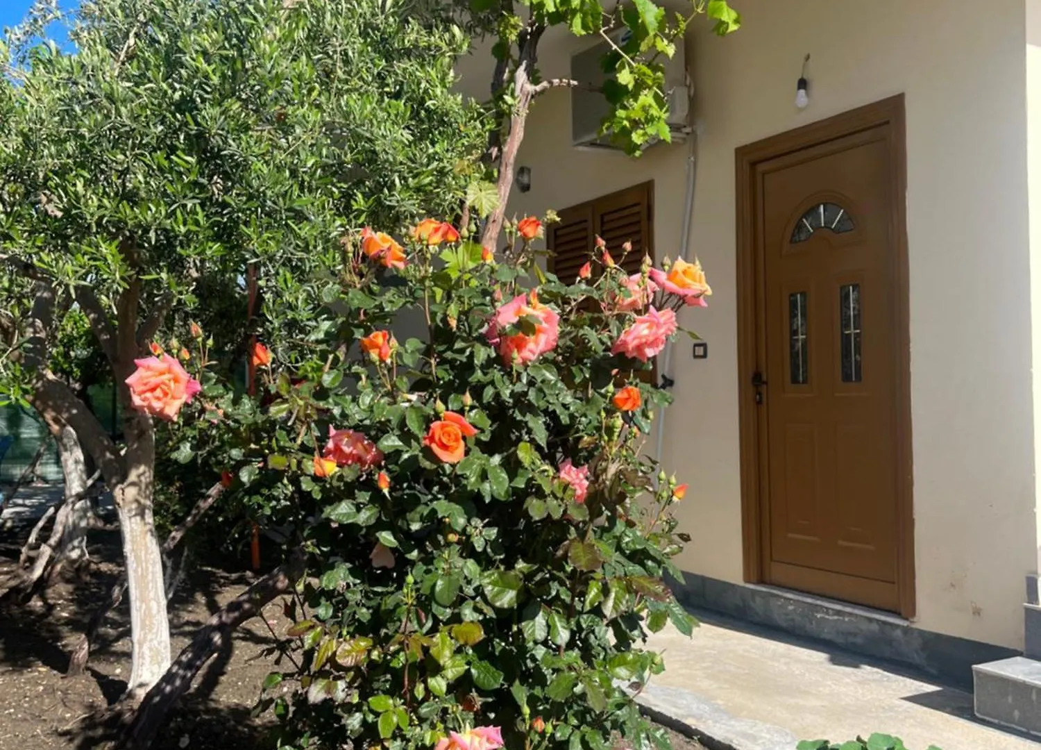 게스트하우스 Blossom Apartments Vlorë