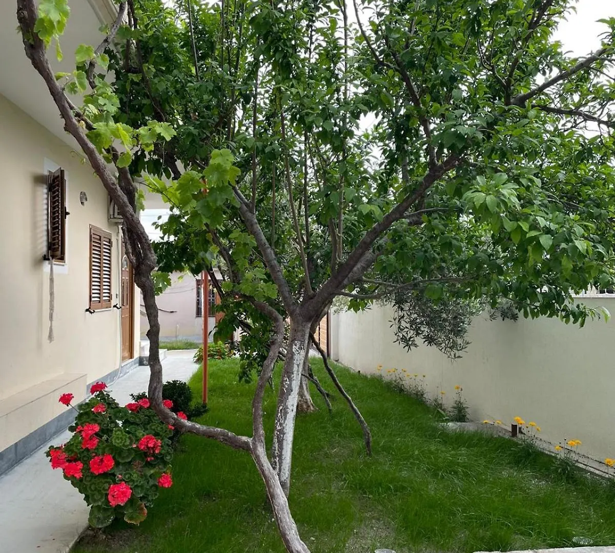 Blossom Apartments Vlore