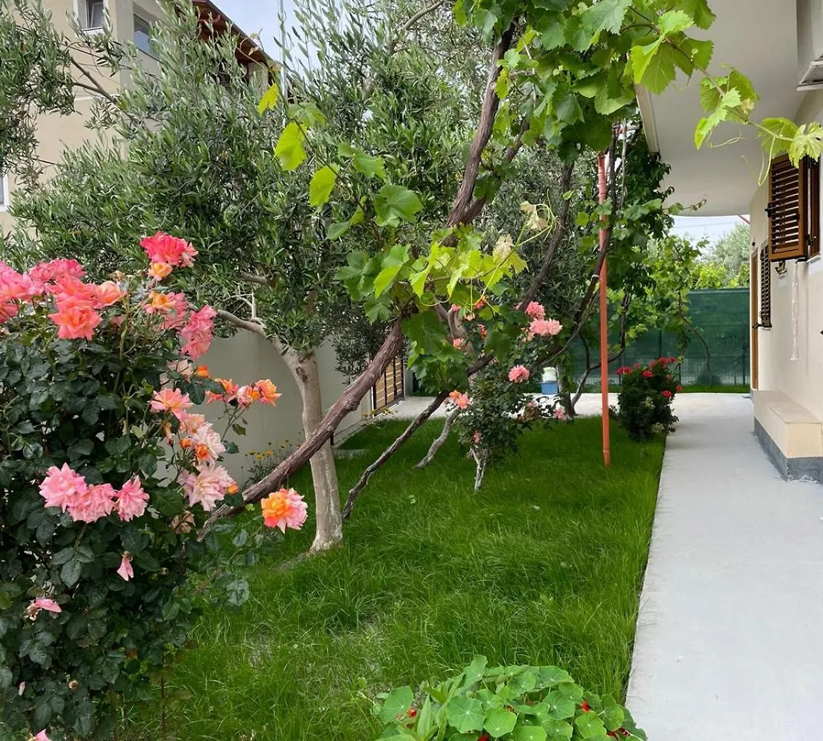 Guest house Blossom Apartments Vlore